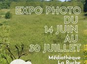 EXPOSITION CONCOURS PHOTO